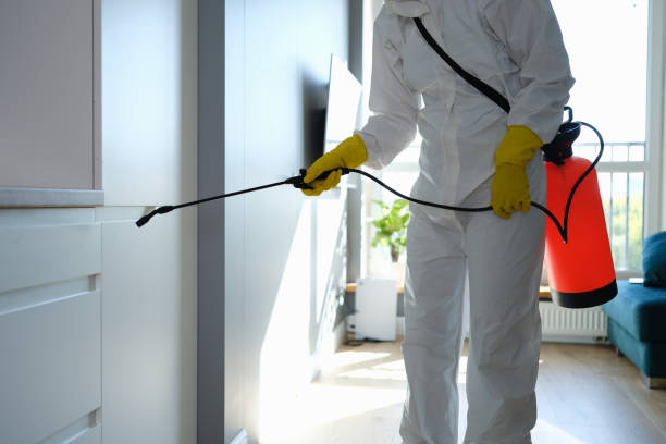 Best HVAC Mold Remediation in East Brooklyn, CT